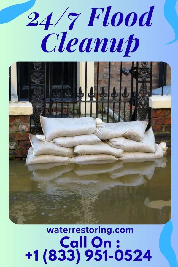 24/7 Flood Cleanup in Reidland, KY