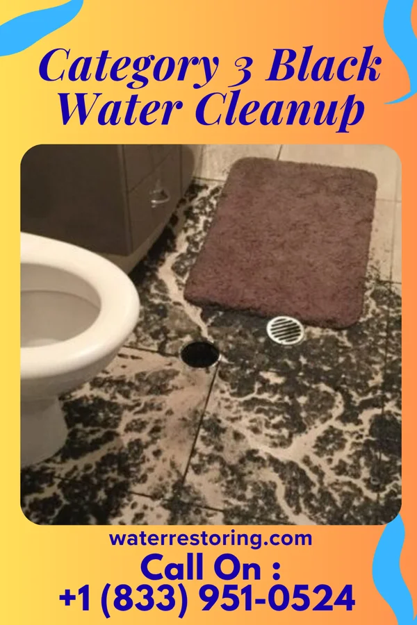 Category 3 Black Water Cleanup in Reidland, KY