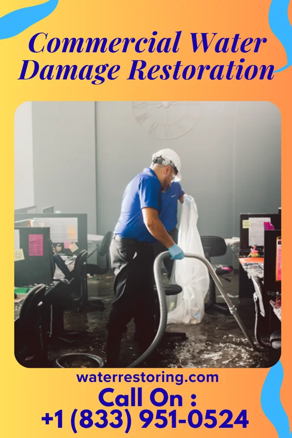 Commercial Water Damage Restoration in Reidland, KY
