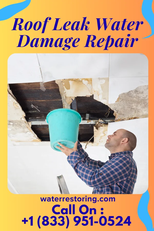 Roof Leak Water Damage Repair in Reidland, KY