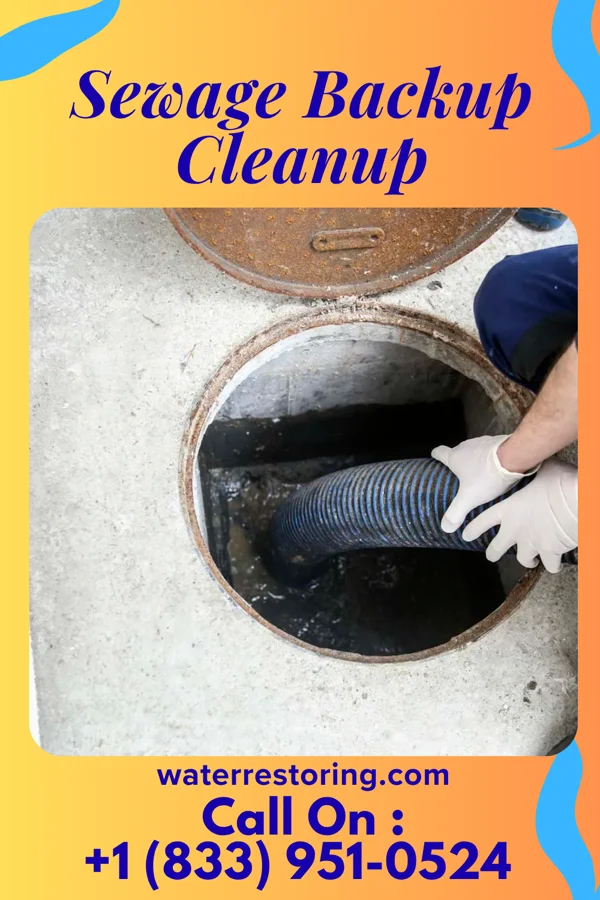 Sewage Backup Cleanup in Reidland, KY