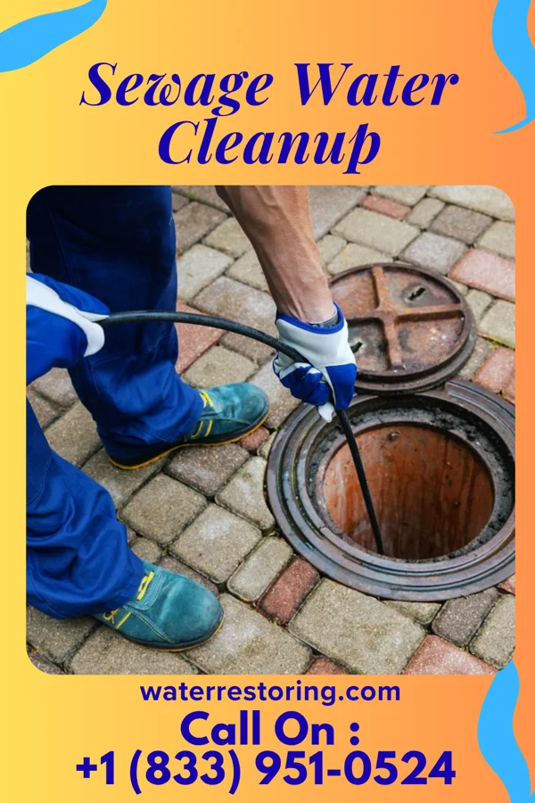 Sewage Water Cleanup in Reidland, KY